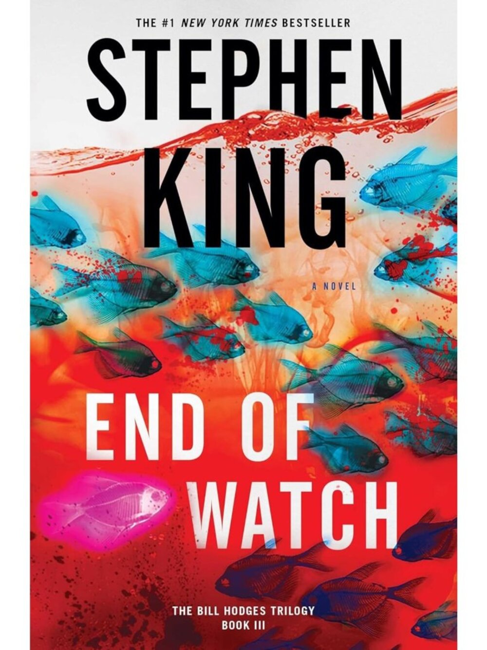 End of Watch: Gripping Thriller Novel, Bill Hodges Trilogy, Must-Read Fiction